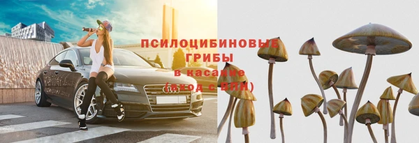 амф Остров