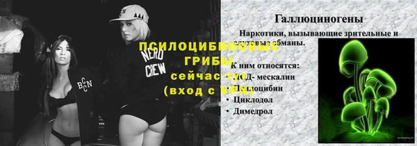 амф Остров