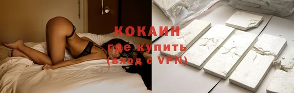 ПСИЛОЦИБИНОВЫЕ ГРИБЫ Осташков