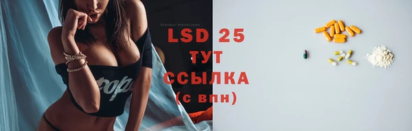 ПСИЛОЦИБИНОВЫЕ ГРИБЫ Осташков