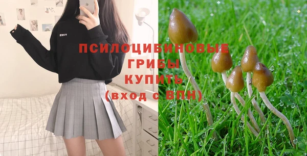 ПСИЛОЦИБИНОВЫЕ ГРИБЫ Осташков