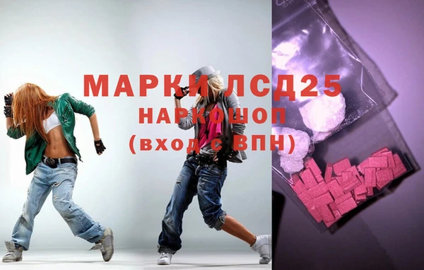 ПСИЛОЦИБИНОВЫЕ ГРИБЫ Осташков
